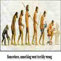 Männliche Evolution