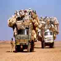 arabischer Betriebsausflug